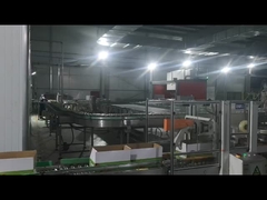 Machine à sceller les cartons, machine à palettiser les robots